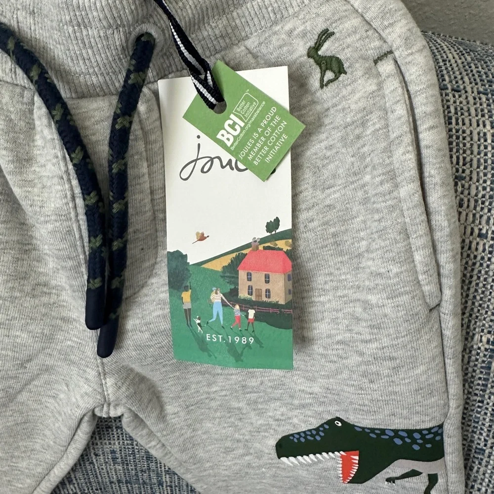 Joules NWT Boys Grey Champion GRMDINO Sweat Pants—Age 1, Height 31.5 - Picture 2 of 7
